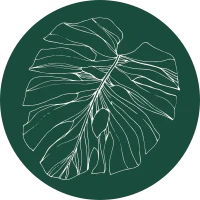 4c3bc62-f826-4e78-105b-74e8a43cbca2_c5cddda4-a634-4de4-83cb-5562ec6e98c9