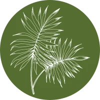 fcd342-761b-f6c7-04cf-26fd415856_6c5414e2-7a2e-44b5-ac95-6440a2f7dfa8